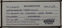 Image Associated With the Occurence